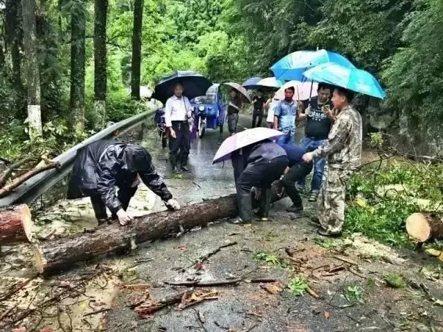 丽水动车最新时刻表，启程探索自然美景，寻找内心平静之旅