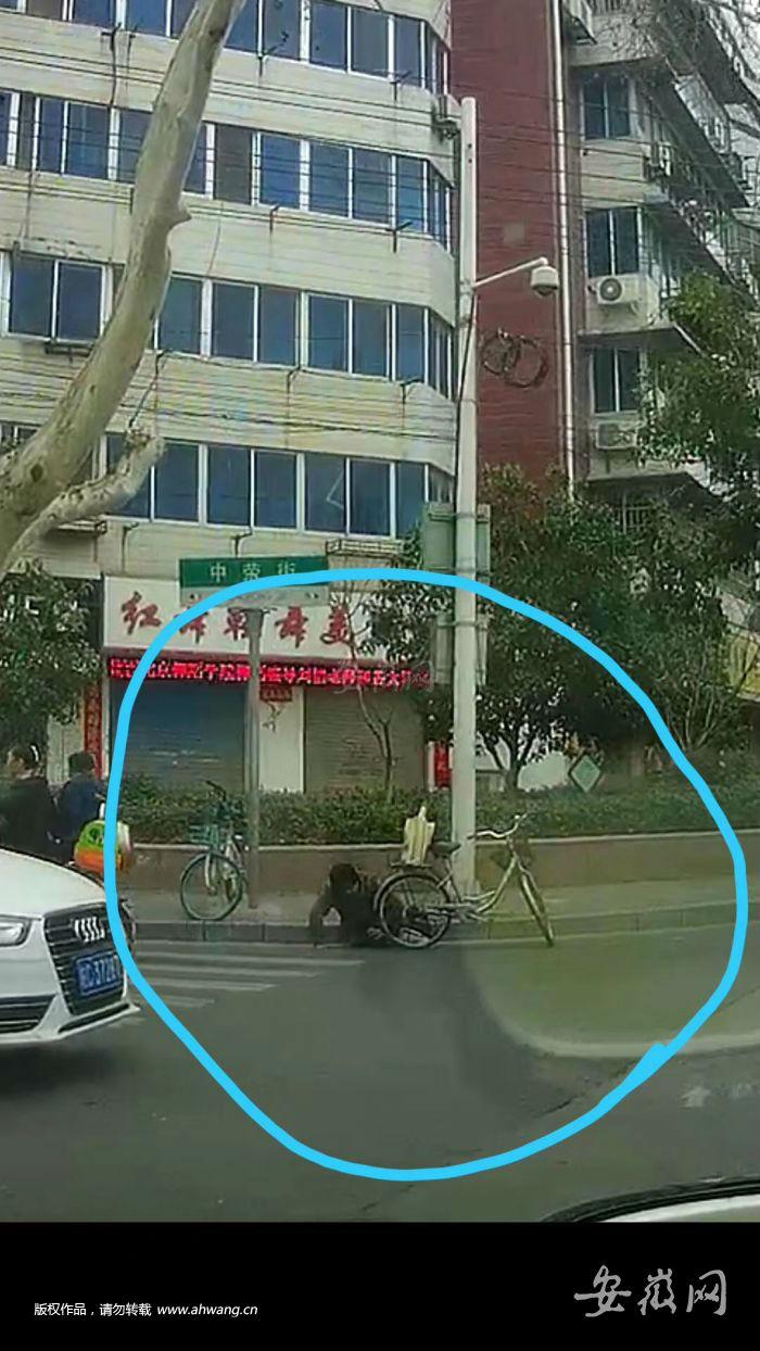 蚌埠驾驶员最新招聘信息揭秘，启程探索小巷中的职业宝藏！